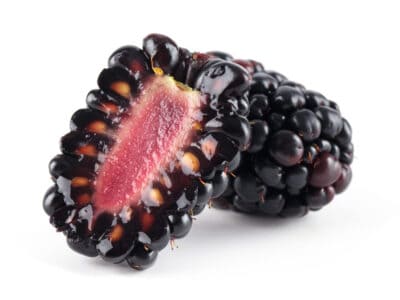 A Blackberry Seeds: How to Grow Your Own Berry Bramble