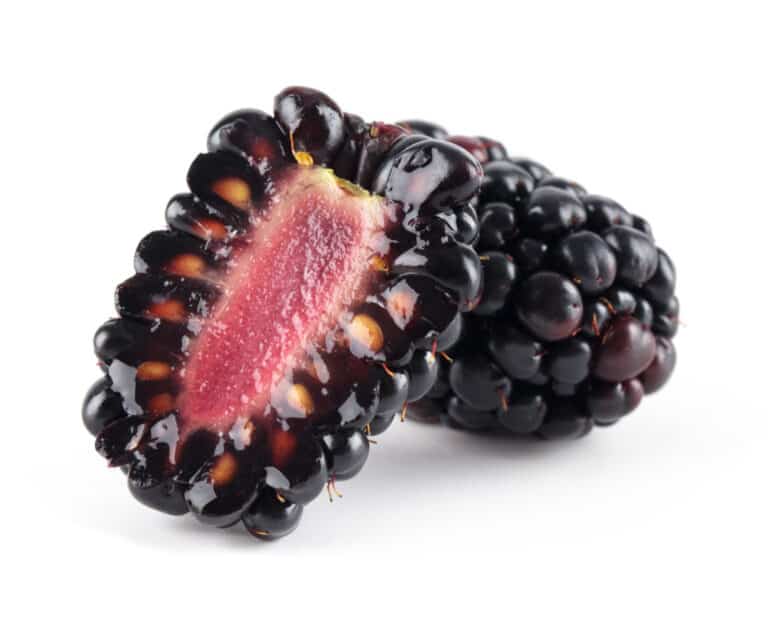 blackberry cut in half
