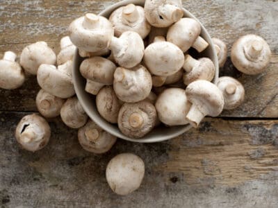 A 15+ Different Types Of Mushrooms, From The Edible To the Deadly