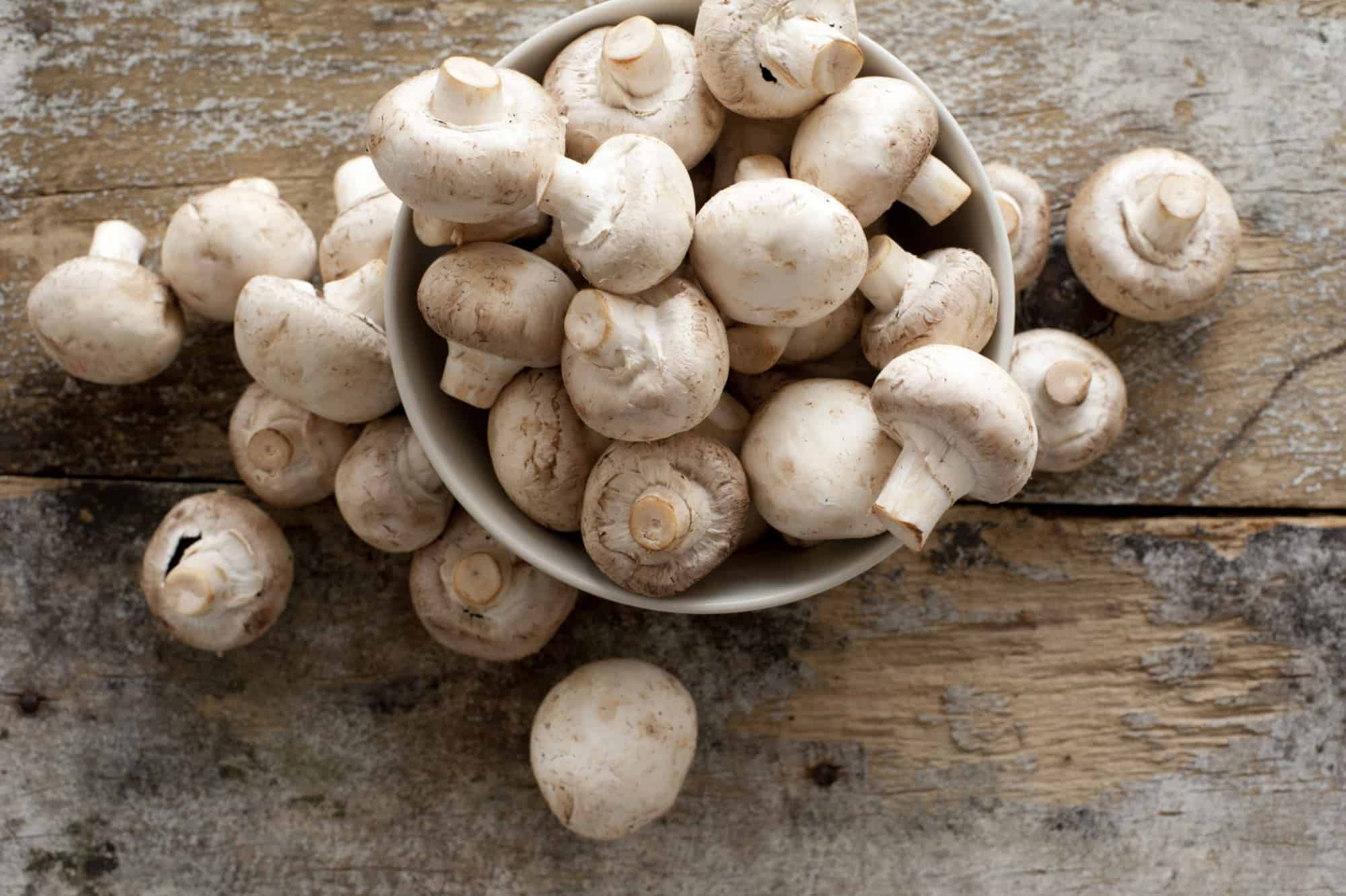 are button mushrooms bad for dogs