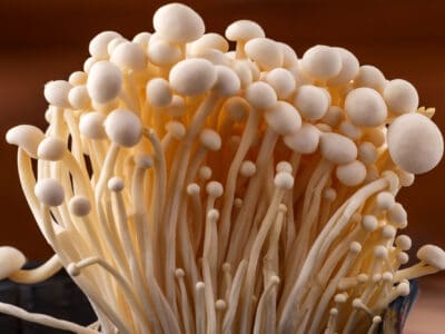 A Enoki Mushrooms: A Complete Guide