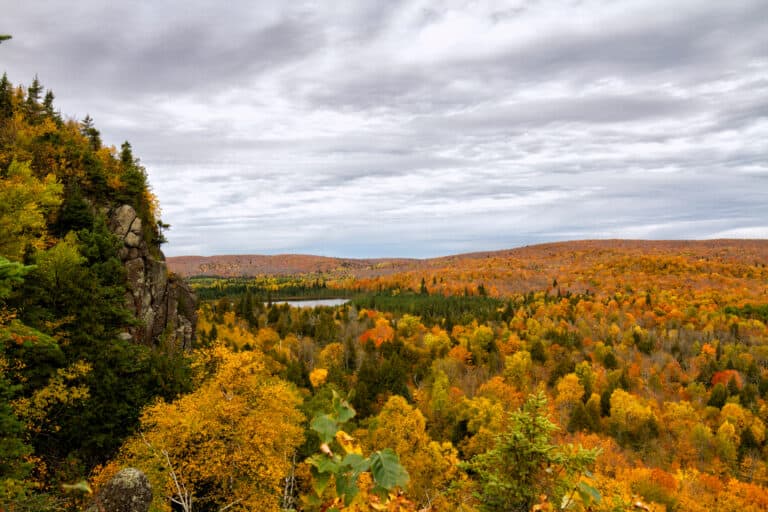 National Forest on Summer Island