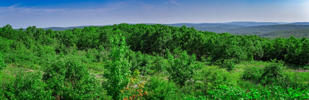 There are 33 miles of the Ozark Trail in Taum Sauk State Park.