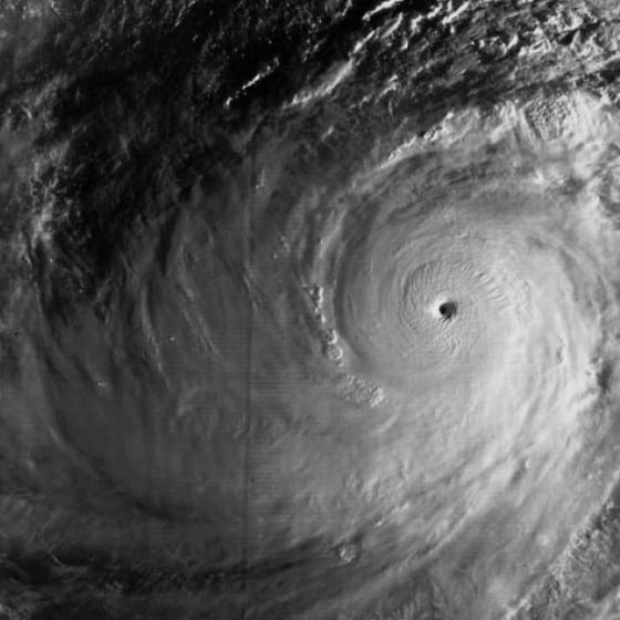 Tsunami vs Typhoon: 5 Key Differences