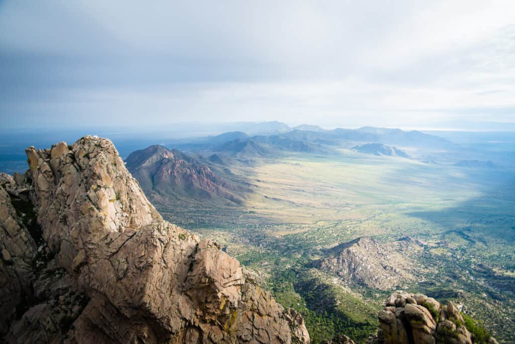 View from Organ Needle