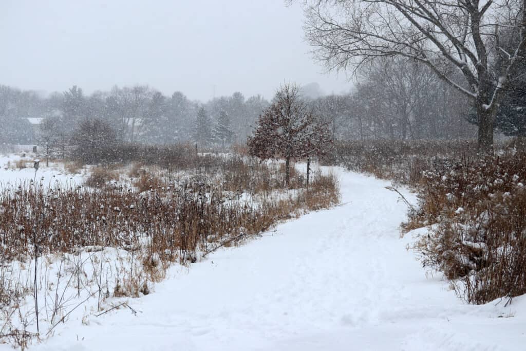 first snow in wisconsin