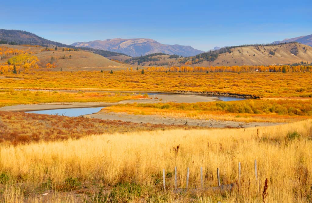 Yellowstone National Park in Autumn