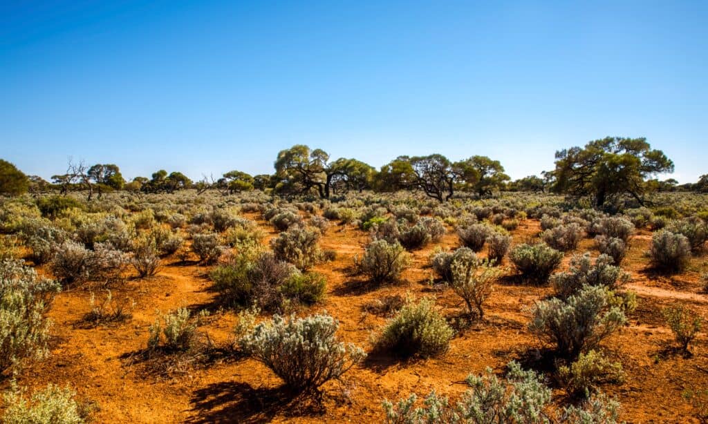 The Great Australian Desert