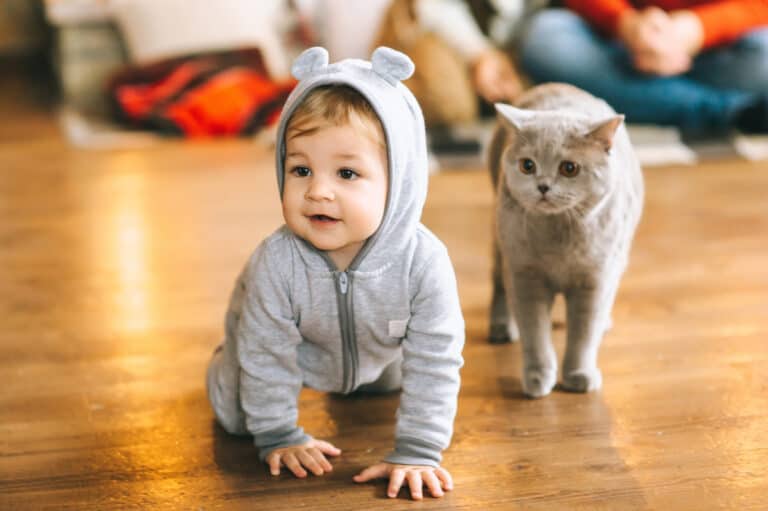 baby with cat