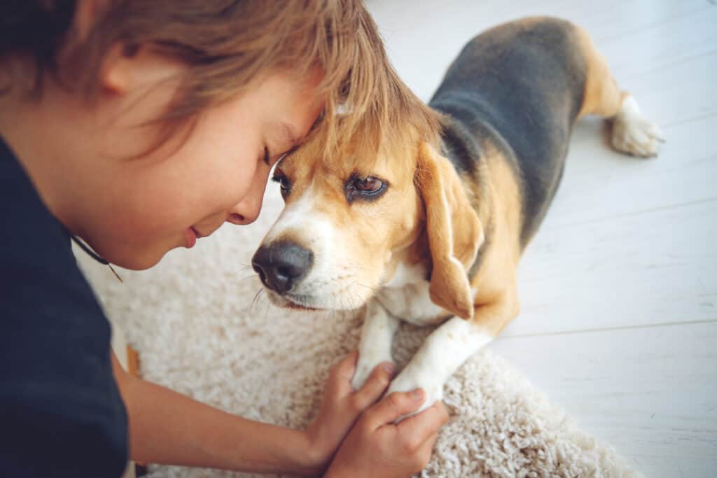 beagle and owner