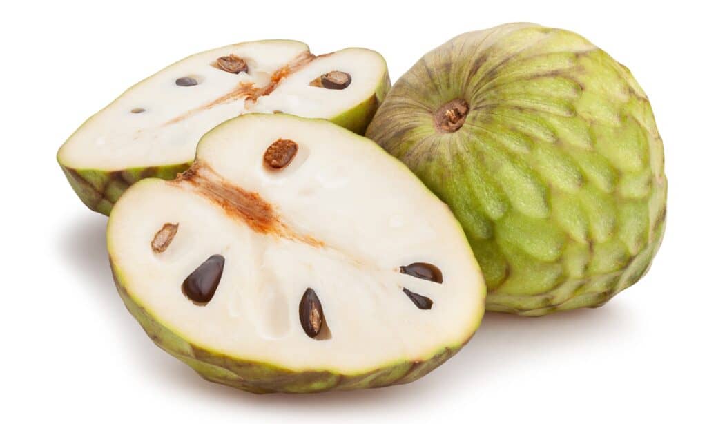 isolated cherimoya