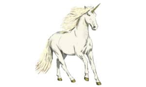 How To Draw A Unicorn in 6 Easy Steps - A-Z Animals