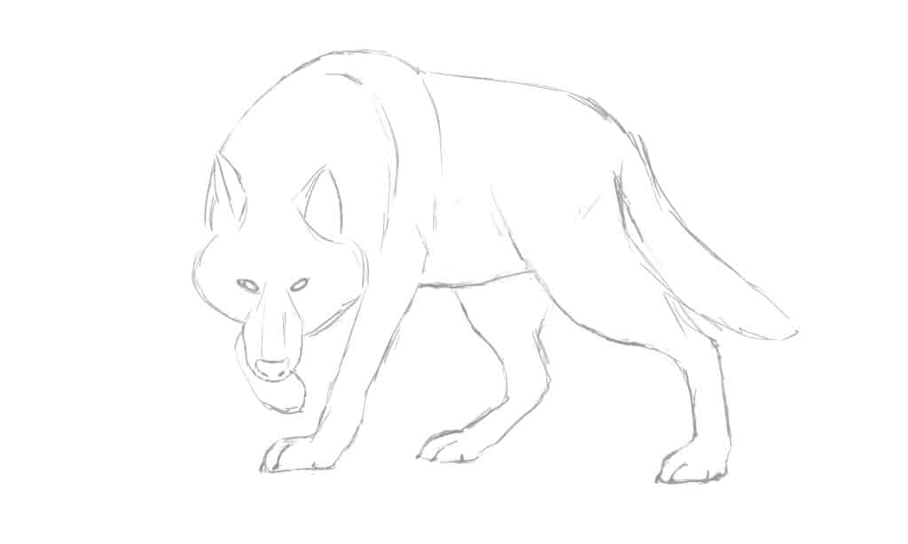 wolf drawing outline
