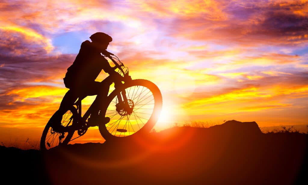 Cycling, Mountain Biking, Mountain Bike, Bicycle, Sunset