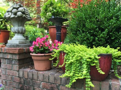 A 22 Cheap Landscaping Ideas You Can Use to Enhance Your Yard