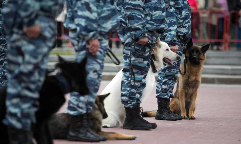 Security guards standing next to security dogs.