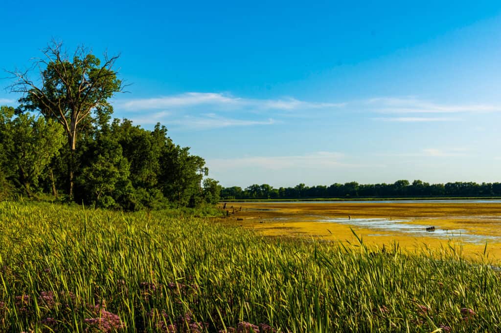 Dixon Waterfowl Refuge Illinois