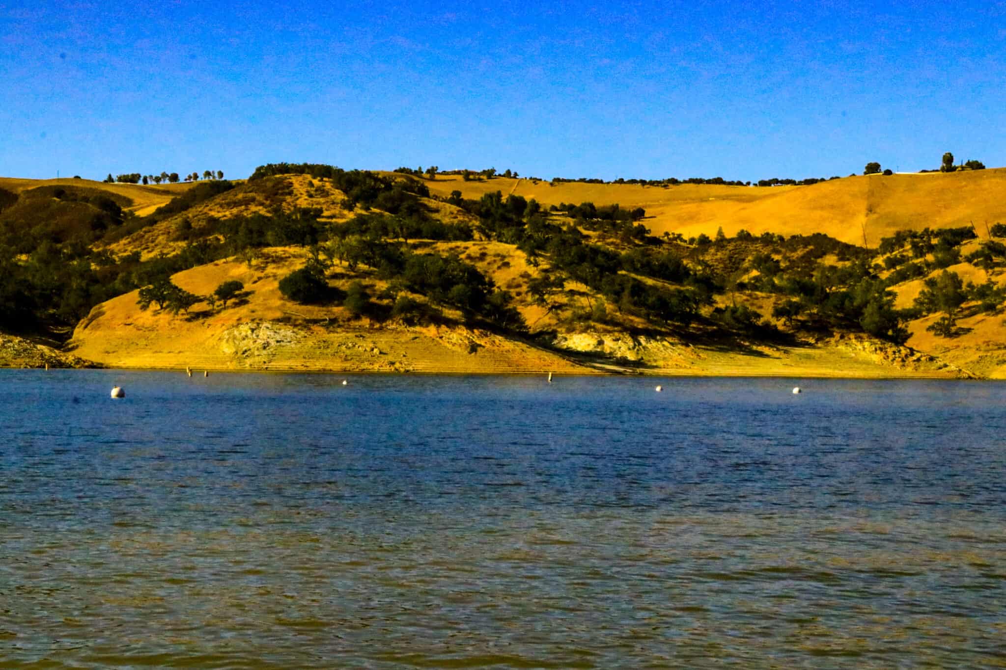 How Wide Is California's Lake Nacimiento? AZ Animals