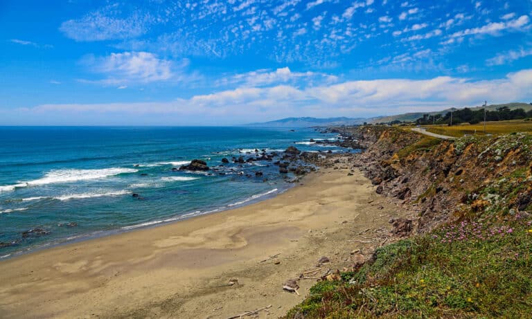 North Salmon Creek Beach