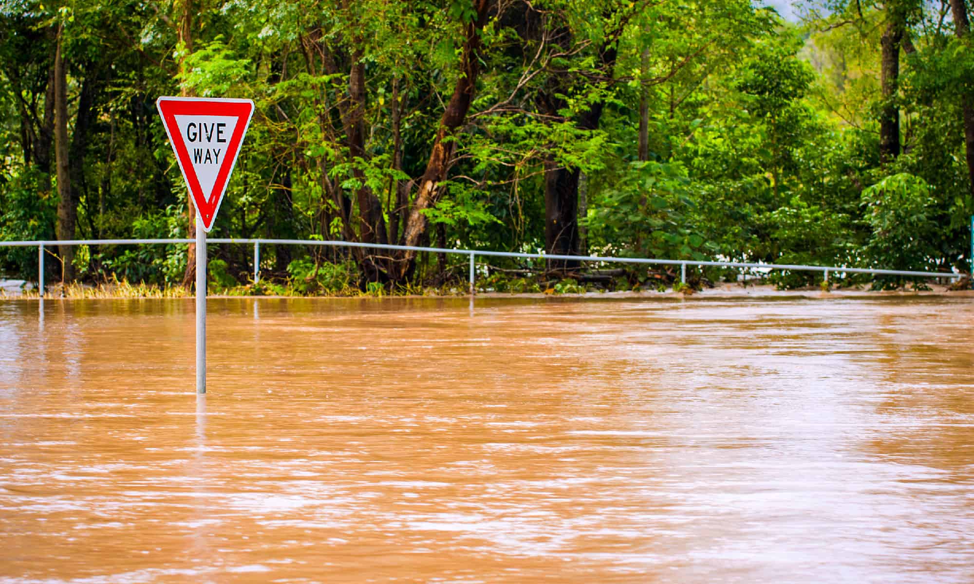 3 Terrifying Flash Floods In Colorado AZ Animals