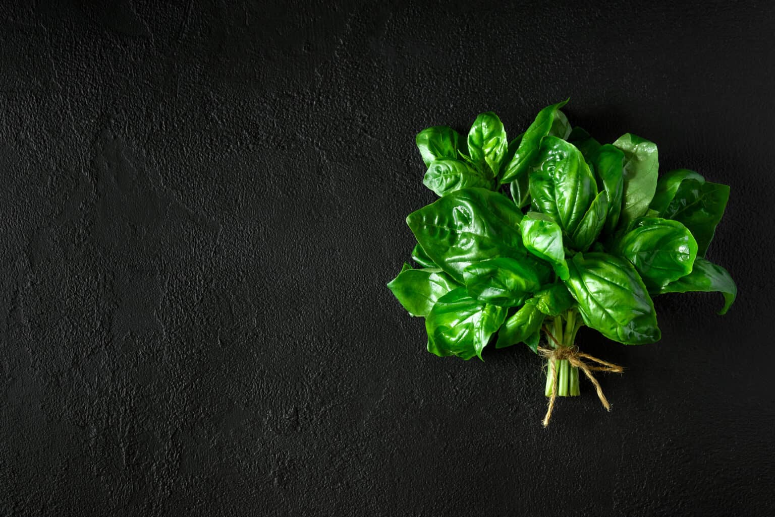 Is Basil A Perennial Or Annual? AZ Animals