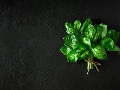 A 12 Types of Basil