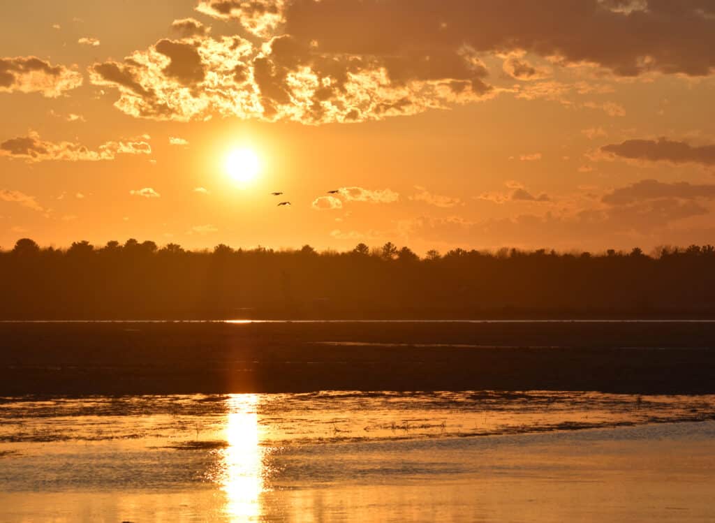 Scarborough Marsh