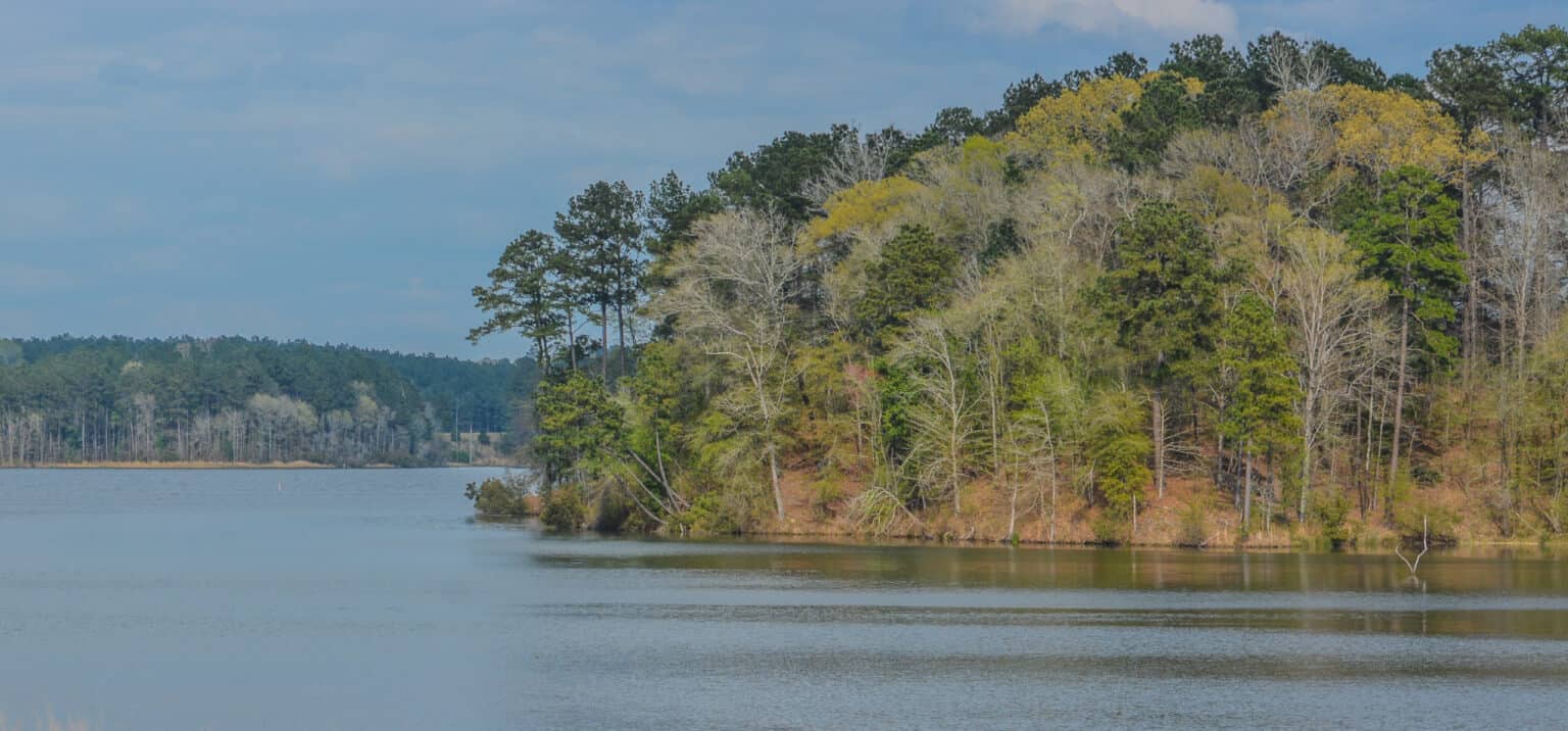 discover-the-deepest-lake-in-mississippi