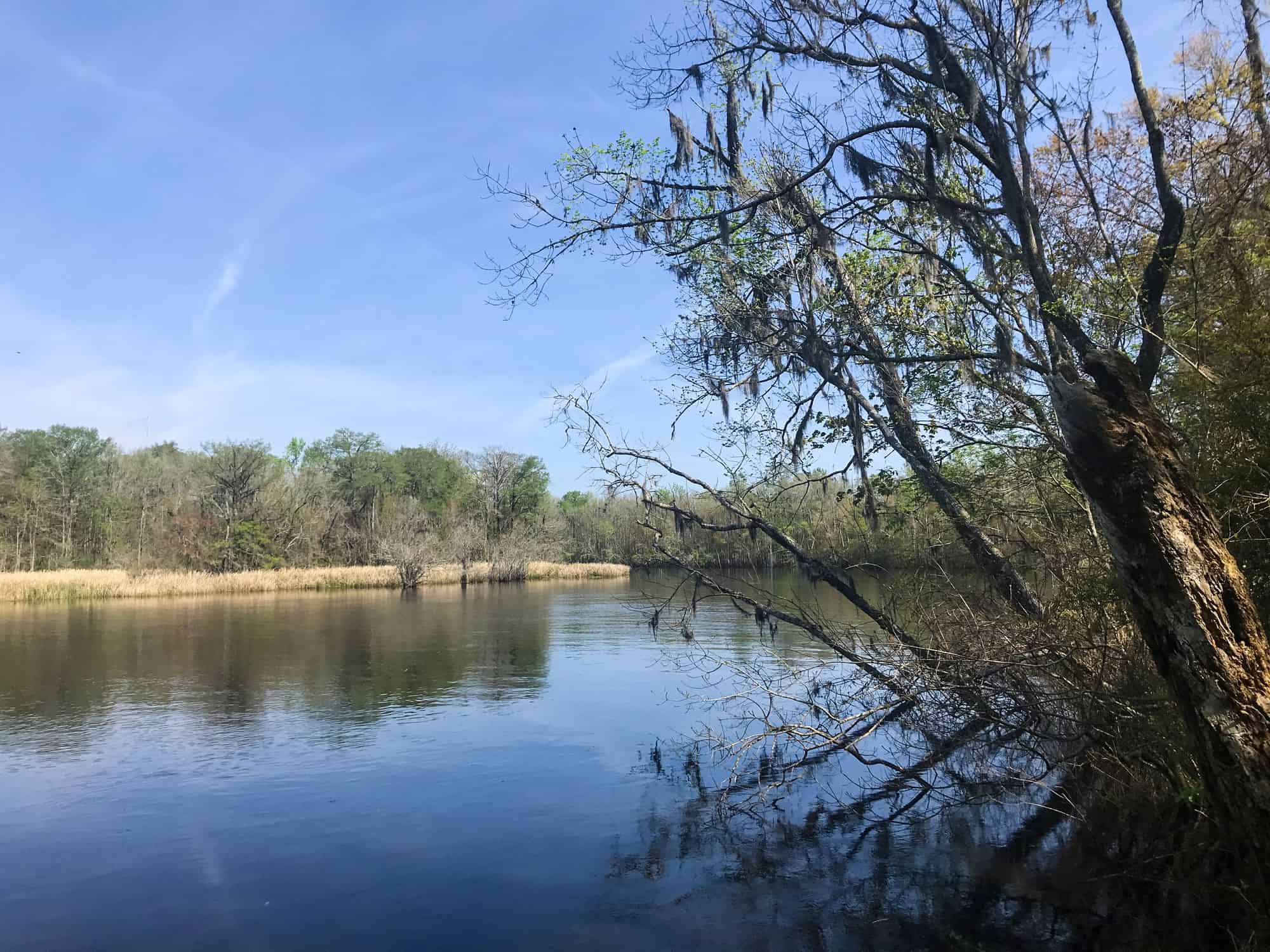 Rivers in Georgia You Should Know About - A-Z Animals