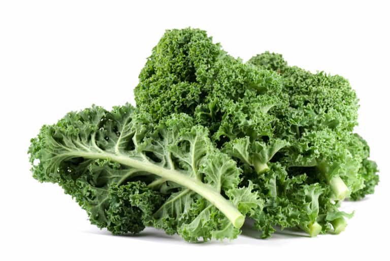 Kale vs. Lettuce: What Are Their Differences?