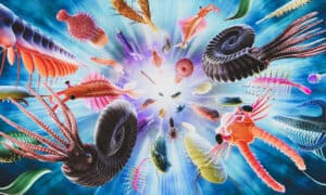 What Is the Cambrian Explosion, and Why Does It Matter? Picture
