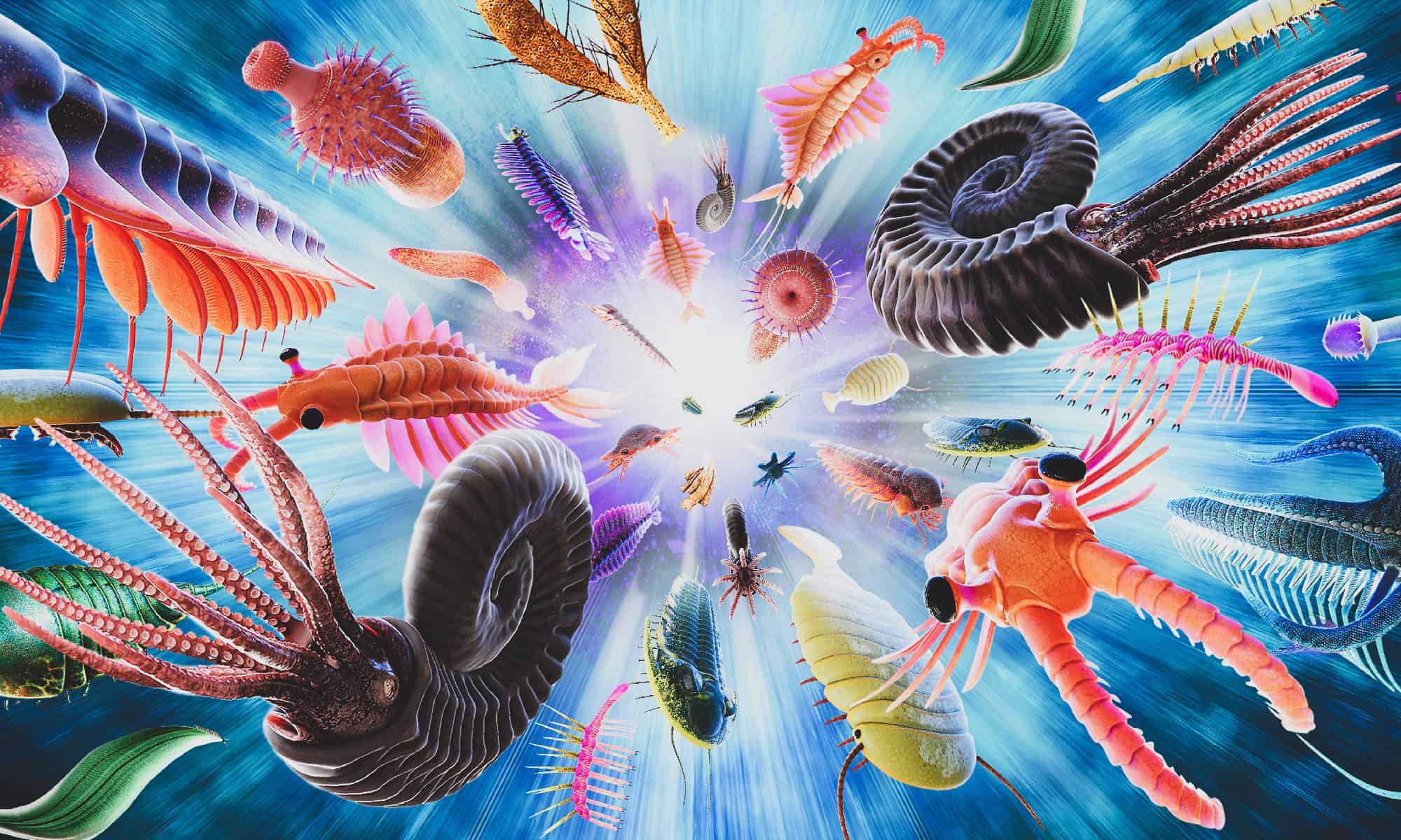 What Is the Cambrian Explosion, and Why Does It Matter? - AZ Animals