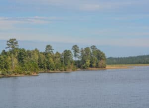Discover the Newest Lake in All of Mississippi Picture