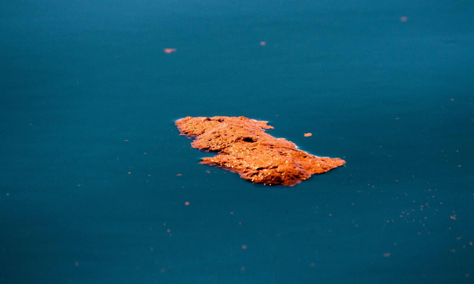 blue-whale-poop-everything-you-ve-ever-wanted-to-know-a-z-animals