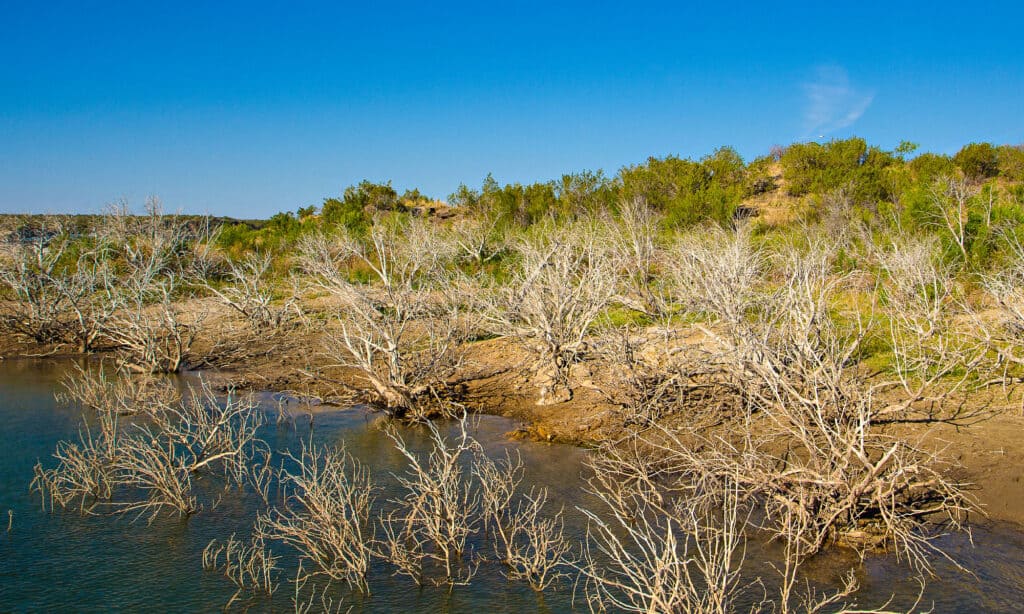 Lake Alan Henry