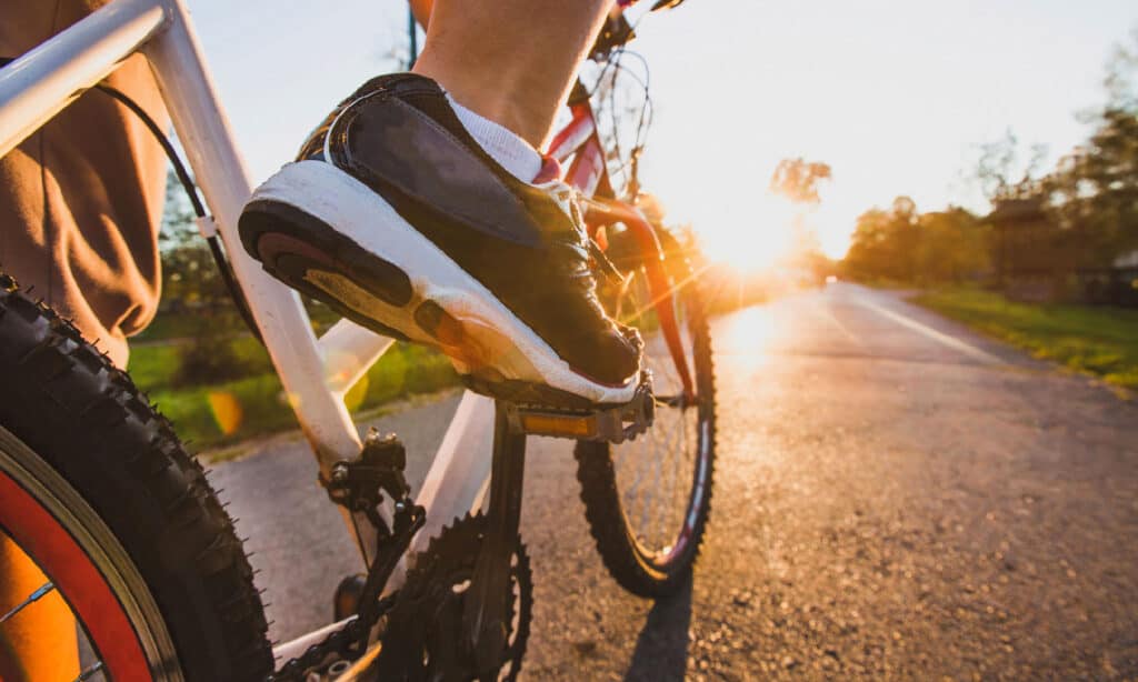 Cycling, Bicycle, Bicycle Lane, Close-up, Sport Biking Trail