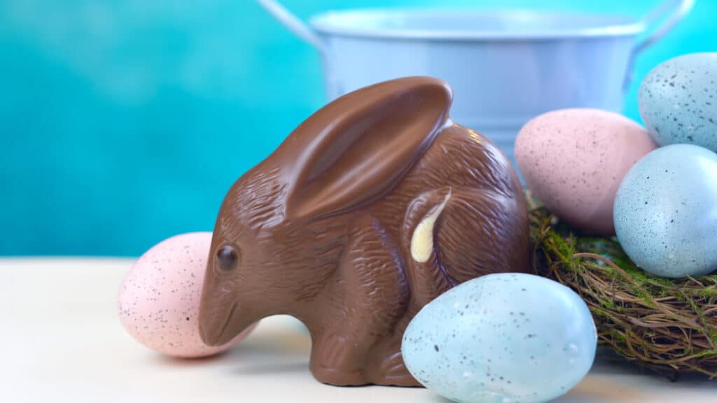 Australian milk chocolate Bilby Easter egg with eggs in nest and copy space