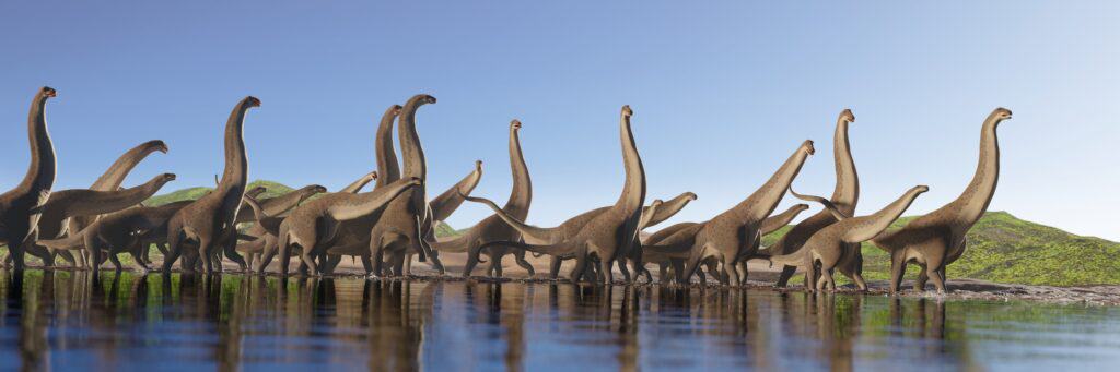 Sauropod herd