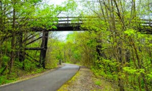 The Longest Biking Trail in Indiana Picture