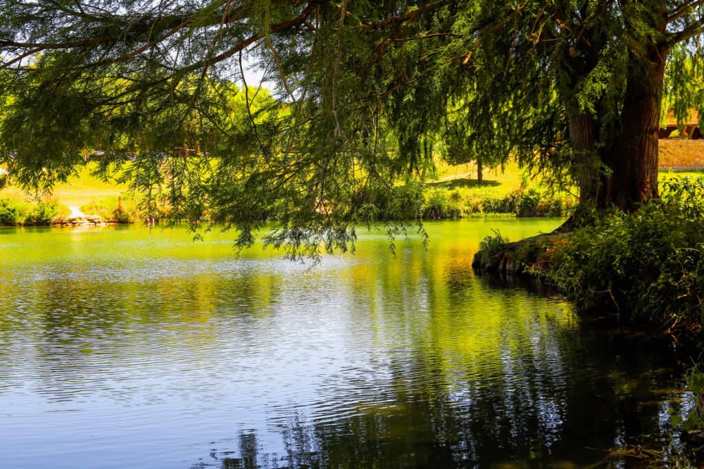 Blanco State Park