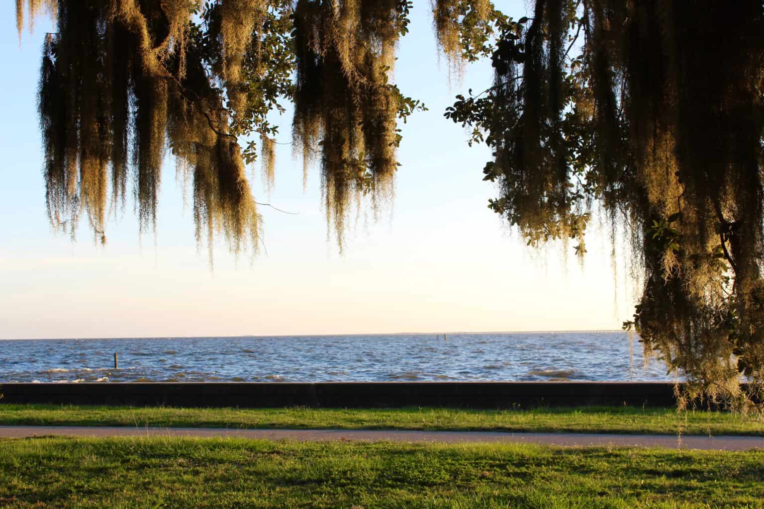 Lake Pontchartrain Fishing Size Depth And More A Z Animals   Shutterstock 1089635963 1536x1024 