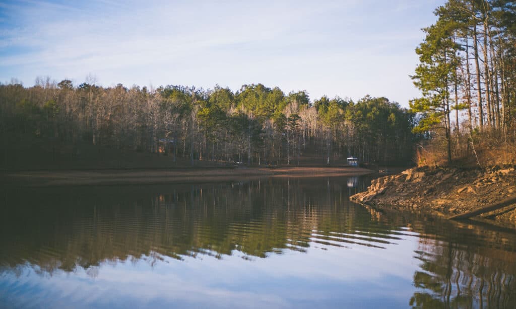 Wedowee Lake