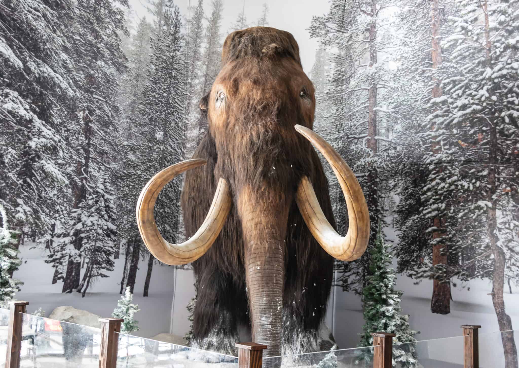 7 Extinct Ice Age Animals AZ Animals