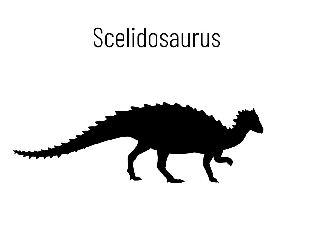 Scelidosaurus dinosaur had thick bony plates along its back to protect from predators