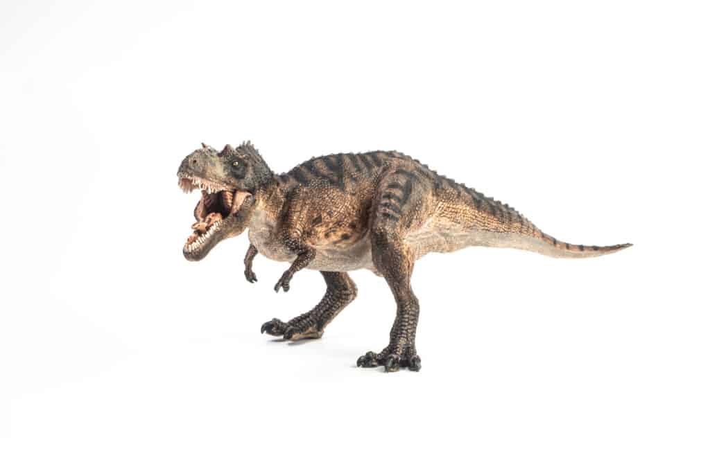 Gorgosaurus