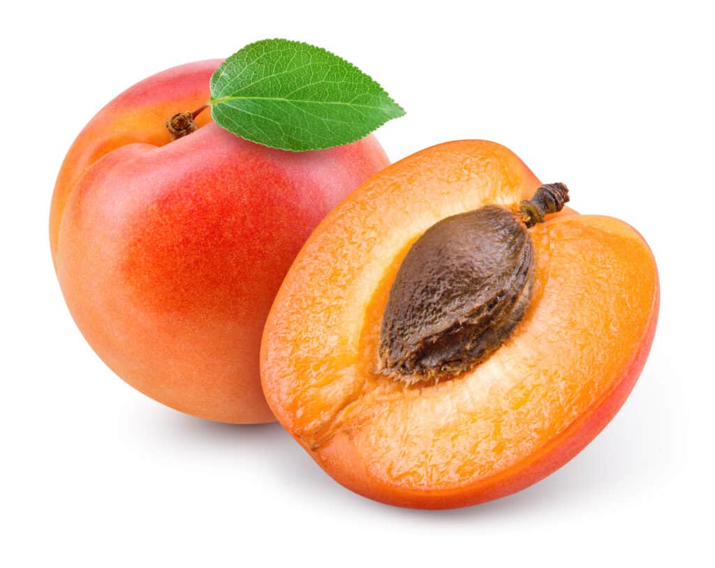 Fresh apricots against a white background