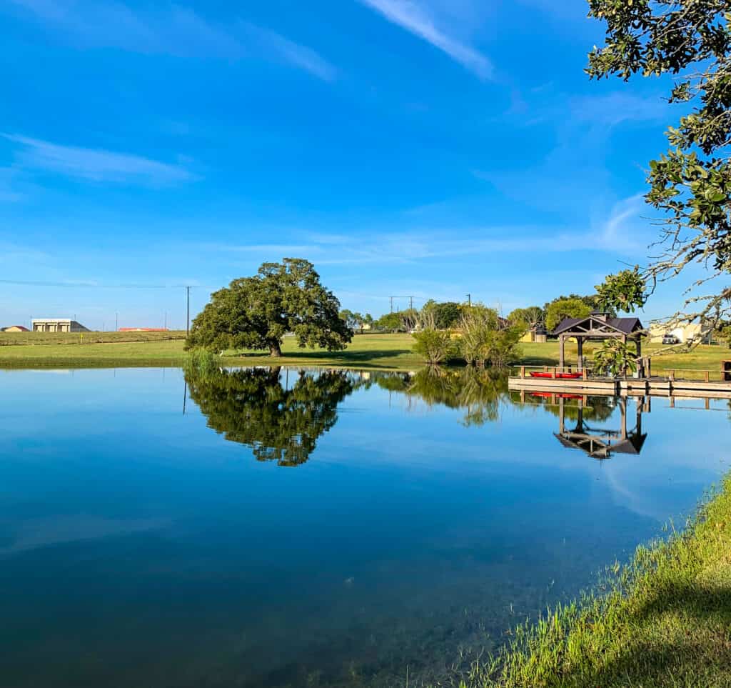 Elmendorf Lake