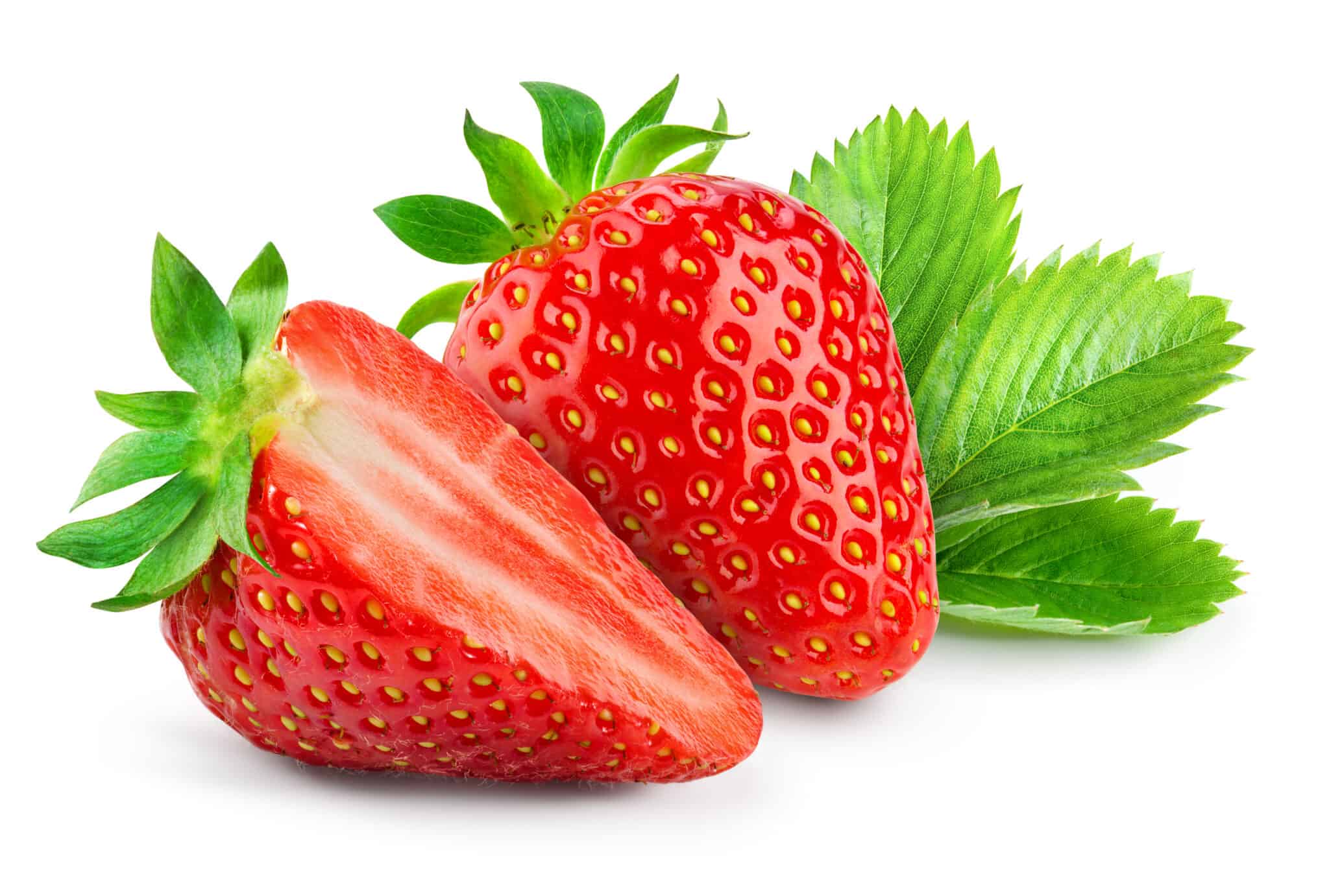 How to Grow Strawberries in Texas 10 Helpful Hints AZ Animals