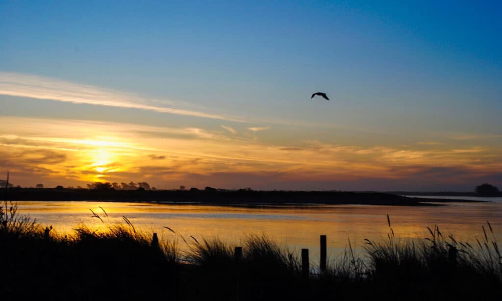 Humboldt Bay