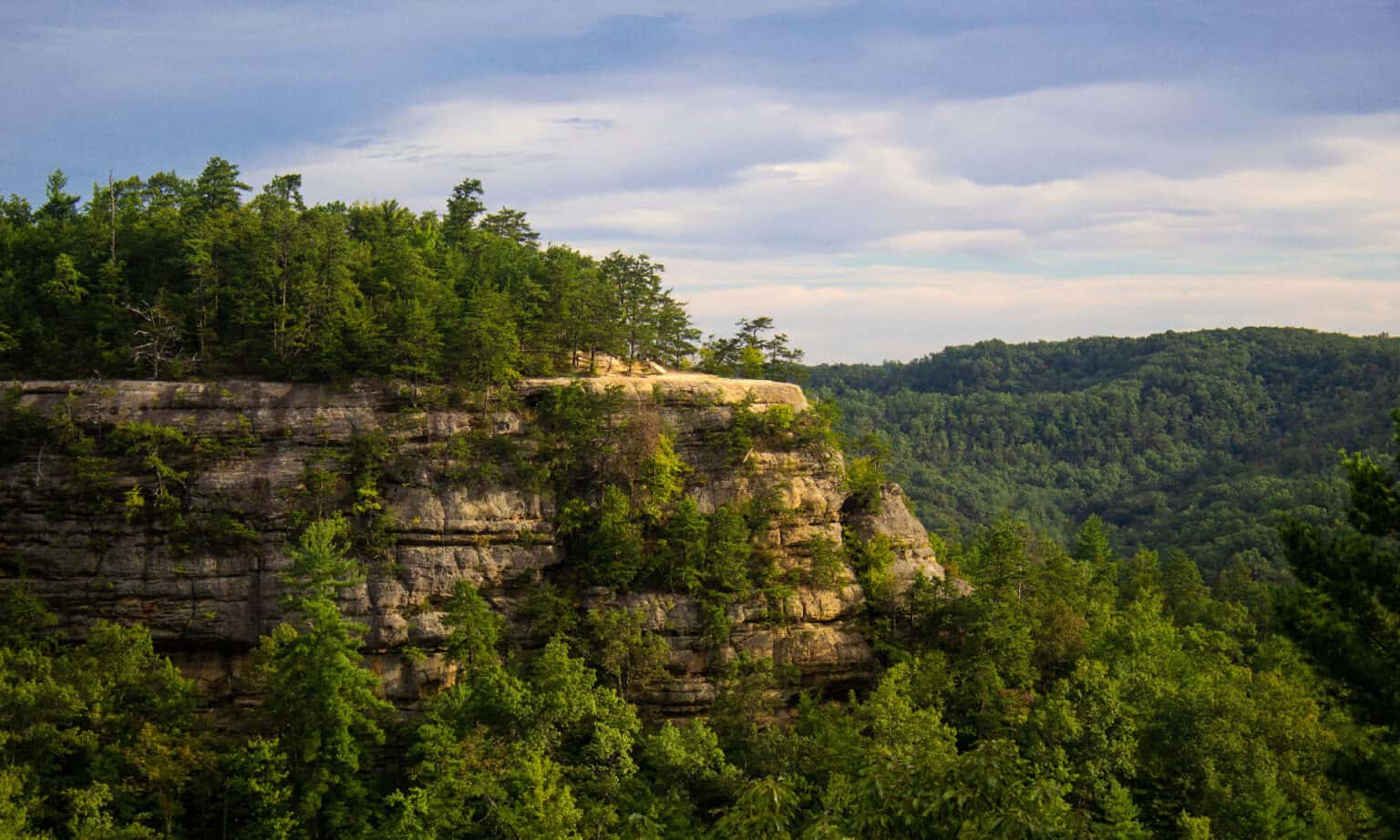 Kentucky's 5 Best Bird Watching Spots This Summer - A-Z Animals